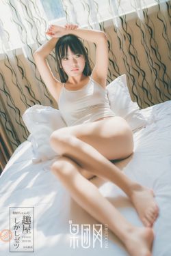 将军在上电视剧