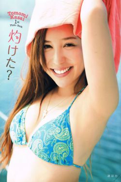 瘦虎肥龙