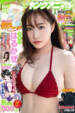 奇迹少女第三季